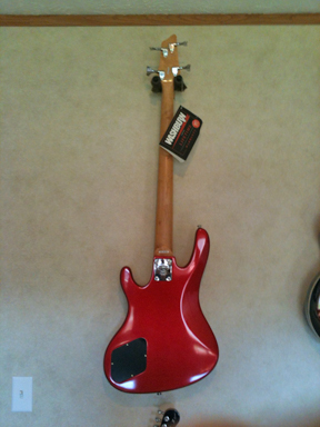 Washburn - XB-100 back