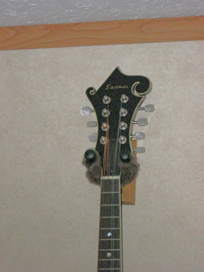 Eastman 615 mandolin headstock