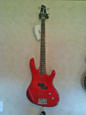 Washburn - XB-100