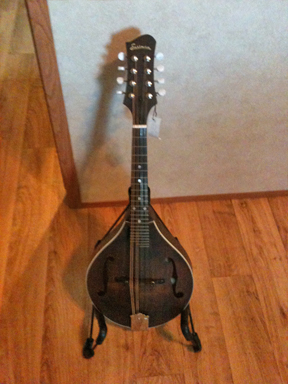 Eastman - 305