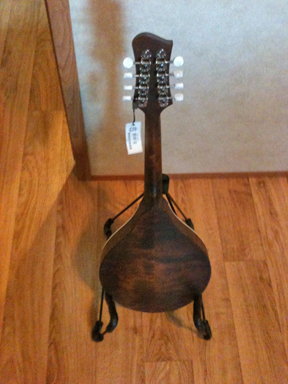 Eastman - 305 back