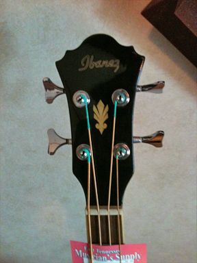 Ibanez - Acoustic Bass headstock