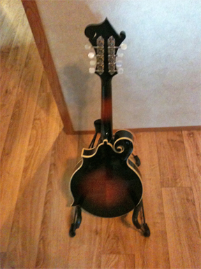 The Loar - LM-500-VS back