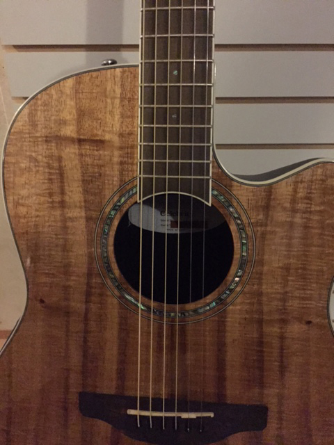 ovation cs24p