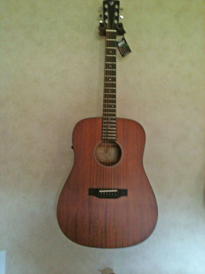 Breedlove –D/MMe