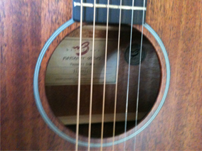 Breedlove –D/MMe