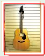 Breedlove AD200/SM