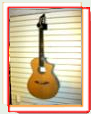 Breedlove N250/CR