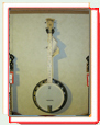 Deering Goodtime 2 banjo